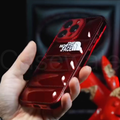 iPhone 11 Series Luxury North Face Puffer Phone Case