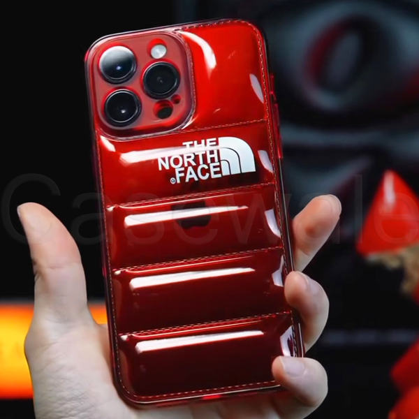 iPhone 11 Series Luxury North Face Puffer Phone Case