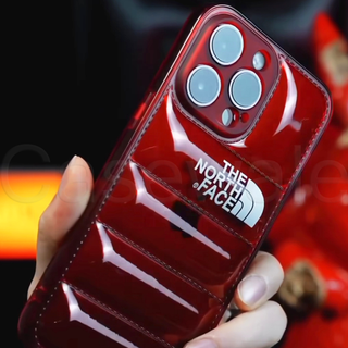 iPhone 11 Series Luxury North Face Puffer Phone Case