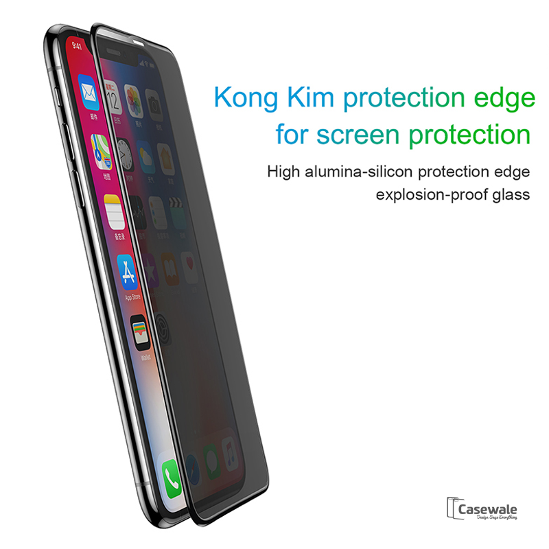 Baseus Anti- Spy Privacy Tempered Glass for iPhone XS