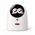 TORRAS 60W Smart Display Charger - White